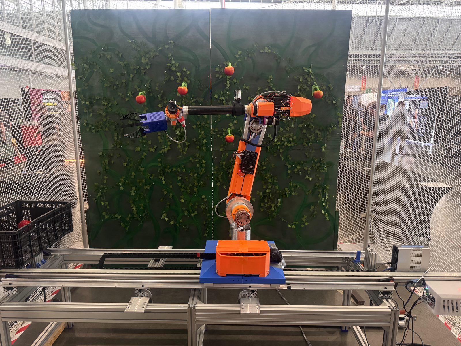 The orange and blue six-jointed robotic arm reaching toward fruit on a foliage wall at the Mass Robotics competition